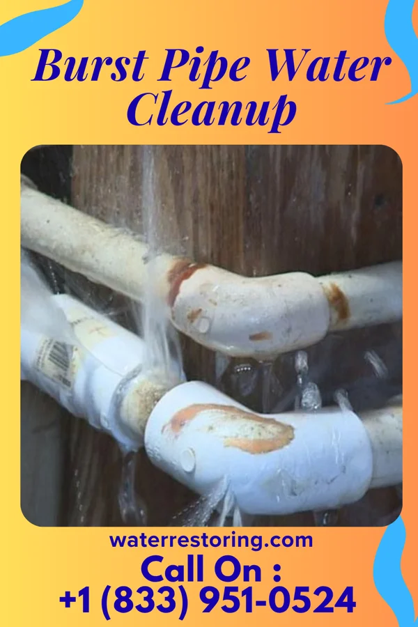 Burst Pipe Water Cleanup in Onton, KY