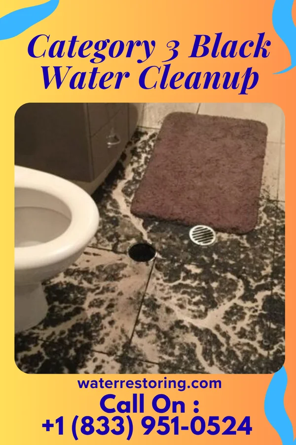 Category 3 Black Water Cleanup in Onton, KY