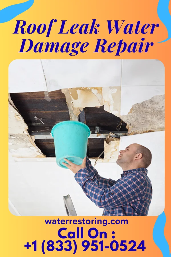 Roof Leak Water Damage Repair in Onton, KY