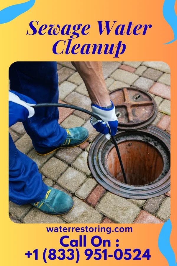 Sewage Water Cleanup in Onton, KY