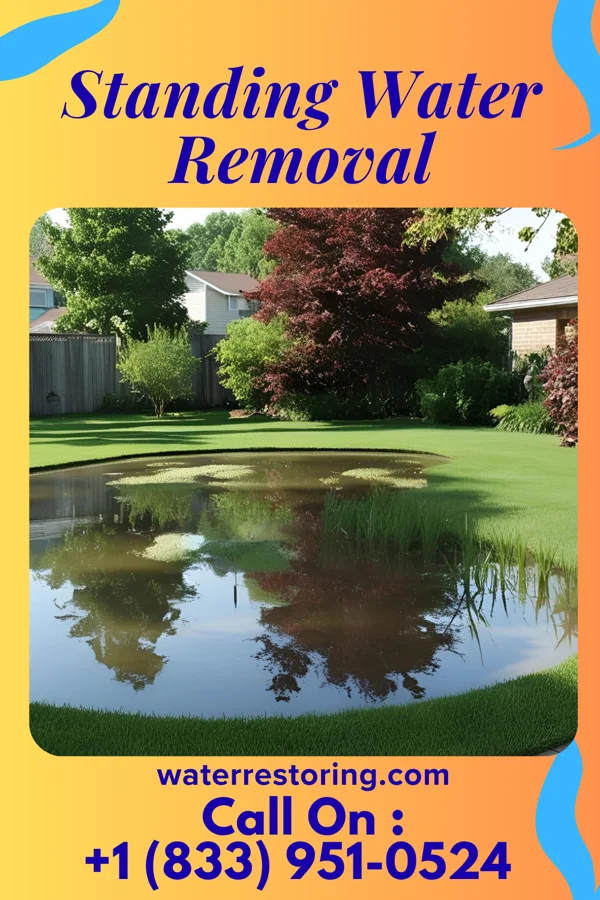 Standing Water Removal in Onton, KY